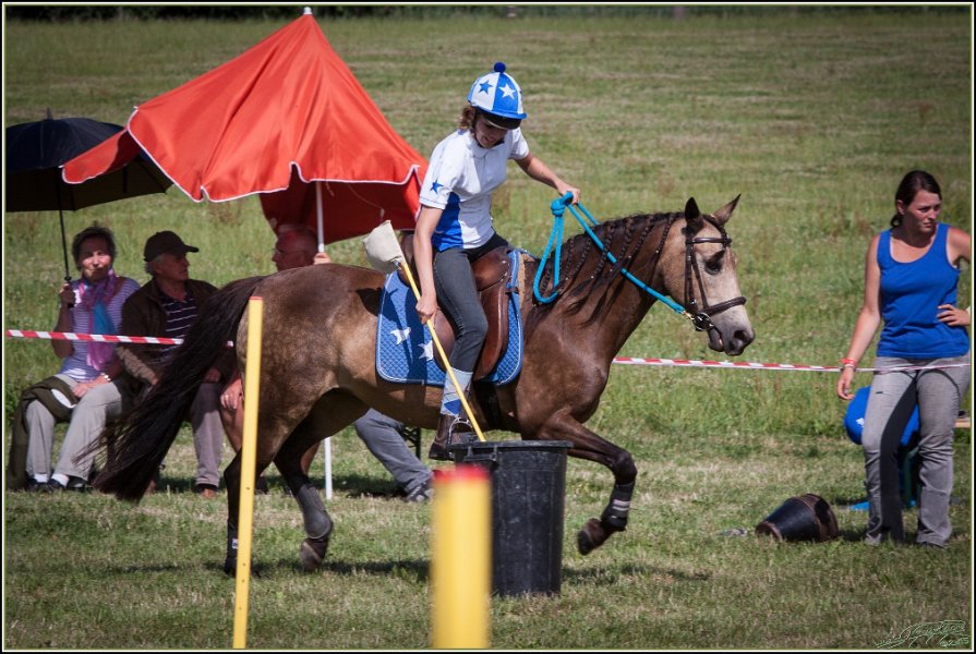 Mounted Games 294